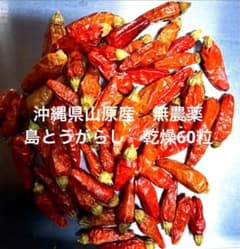 沖縄県山原産　無農薬乾燥島とうがらし 乾燥60粒のサムネイル
