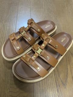 ⭐︎わさこ様専用⭐︎セリーヌスライドティッピのサムネイル