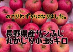 長野県産 サンふじ 丸かじり小玉 5キロのサムネイル