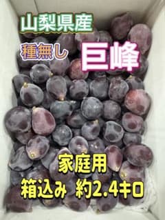 山梨県産 ぶどう⭐️巨峰⭐️家庭用 10パック入り⭐️箱込み約4.9キロ 山梨県産ぶどう⭐️種無し 巨峰⭐️家庭用箱込み約2.4キロ - メルカリ