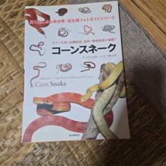 コーンスネーク 見て楽しめる爬虫類・両生類フォトガイドシリーズのサムネイル