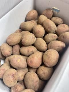 北海道産　越冬レッドムーン 5kg(赤茶色のジャガイモ)Mサイズ　限定1品のサムネイル