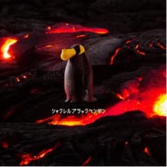 汐様専用★シャクレルブラック ペンギン・ウサギのサムネイル