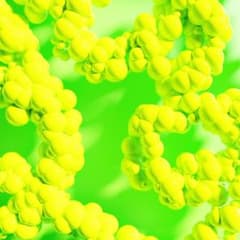 ウブ郎様専用のサムネイル