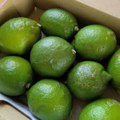 愛媛県産 グリーンレモン 約1kg 農家直送・訳ありのサムネイル