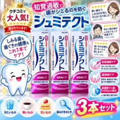 〔お買得〕シュミテクト 歯周病ケア 95g 3本セット 薬用歯磨き粉のサムネイル