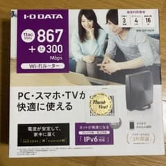 I・O DATA WN-DX1167Rのサムネイル