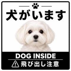 カーステッカー　犬がいます 正方形 玄関 防水 マルチーズ 飛び出し注意のサムネイル