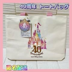完売品！！ディズニー✨40周年 ドリームゴーラウンド トートバッグのサムネイル