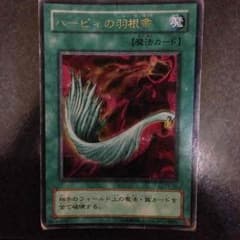 ハーピィの羽根帚のサムネイル