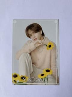 中島颯太 FANTASTICS SUNFLOWER フォトカードのサムネイル