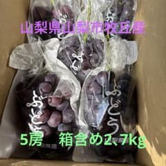 ス*ツ様 新鮮 朝とれ巨峰5房牧丘産のサムネイル