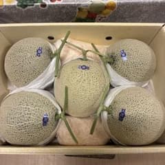 高知 温室メロン 5玉入り11.5キロ箱込み11.5キロ1 - メルカリ