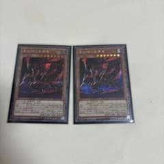 遊戯王OCG 真紅眼の亜黒竜 2枚 おまけ付き - メルカリ