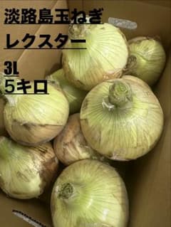 淡路島玉ねぎ　5キロ　レクスター　３Lのサムネイル