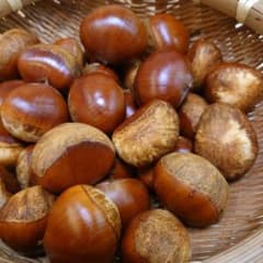 新鮮な栗(利平栗:大粒) １Ｋg 本日収穫分だけ出品‼️のサムネイル