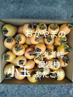 愛宕柿 あたご柿 渋柿 干し柿用 小玉 ８キロ 50〜70個のサムネイル