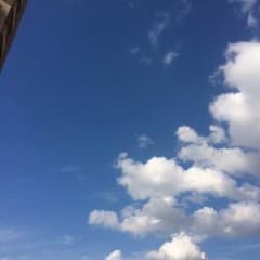 りり様専用のサムネイル