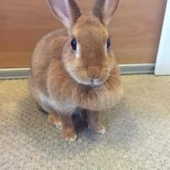 はるばる様  専用のサムネイル