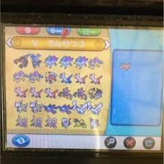 ポケットモンスターY めざパメタモンのサムネイル