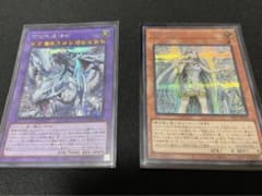 【一点限り】白き乙女シクドラゴンマギアシクセットのサムネイル