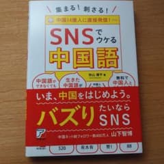 【最終値下げ】集まる!刺さる! SNSでウケる中国語のサムネイル