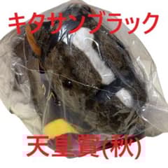 キタサンブラック アイドルホース 競馬 ぬいぐるみ AVANTI ウマ娘新品