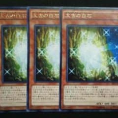 太古の白石のサムネイル