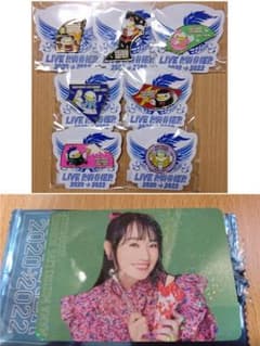 【NANACA付き】水樹奈々 LIVE RUNNER ピンズ 7種セットのサムネイル