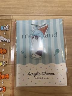 モフサンド　アクリルチャーム