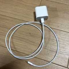 iPhone  20W 充電器 USB タイプCセット アップル純正品 正規品のサムネイル
