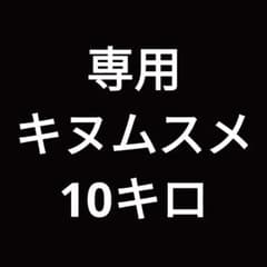 キヌムスメ10キロのサムネイル