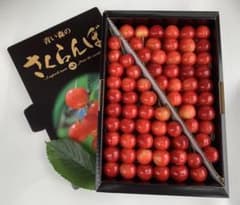 お徳用サクランボ佐藤錦1kg 3500円のサムネイル