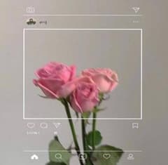 ccccoさんのサムネイル