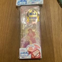 디즈니 프린세스 컴팩트 필통