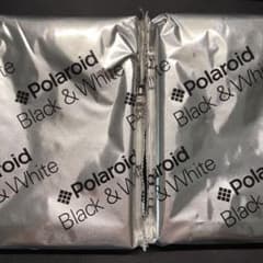 polaroid black&white 667 20枚  07/2009のサムネイル