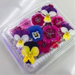 無農薬エディブルフラワーミックスのサムネイル