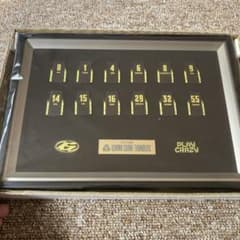 群馬クレインサンダーズ 30回来場特典 メモリアルピンバッジ - メルカリ