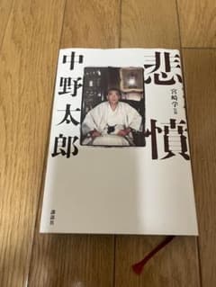 悲憤のサムネイル