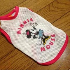 チワワ ペットパラダイスのサムネイル