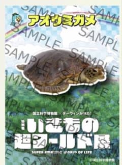 特別展 いきもの超ワールド展 ウミガメ ステッカー 2枚セットのサムネイル