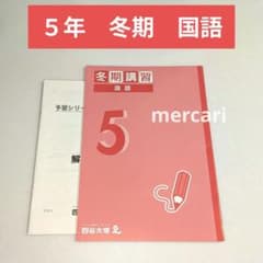 未使用 】 冬期講習 国語 5年生 2025 四谷大塚 予習シリーズ - メルカリ