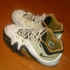 NIKE ナイキ  ジョーダン アップテンポ５Ｖプレミアム Ballaholicのサムネイル