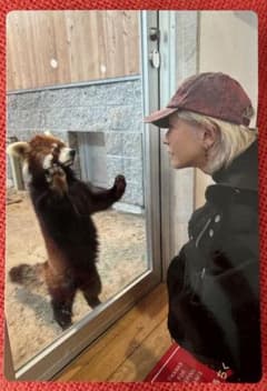 HYDE LIVE CHIPS 2024 EXTRA シークレットカードほか1枚 - メルカリ