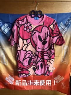 新品⭐︎Disney Resort ミニー デイジー 総柄Tシャツ ピンク