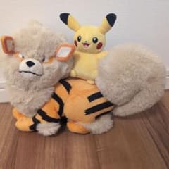 ポケモンセンター オキナワ 沖縄限定 ぬいぐるみ ピカチュウ