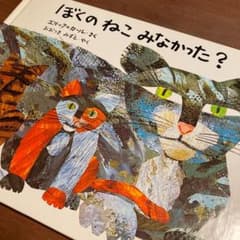 絵本 ぼくのねこみなかった？のサムネイル
