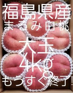 もうすぐ終了 甘い 福島県産 まるみ白桃 4kg 桃 もも 訳あり わけありのサムネイル