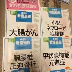 なっぴ様 プチナース 解剖生理ポイントブックのサムネイル
