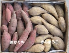 極小さつまいも2品種 詰め合わせ 食べ比べセットのサムネイル